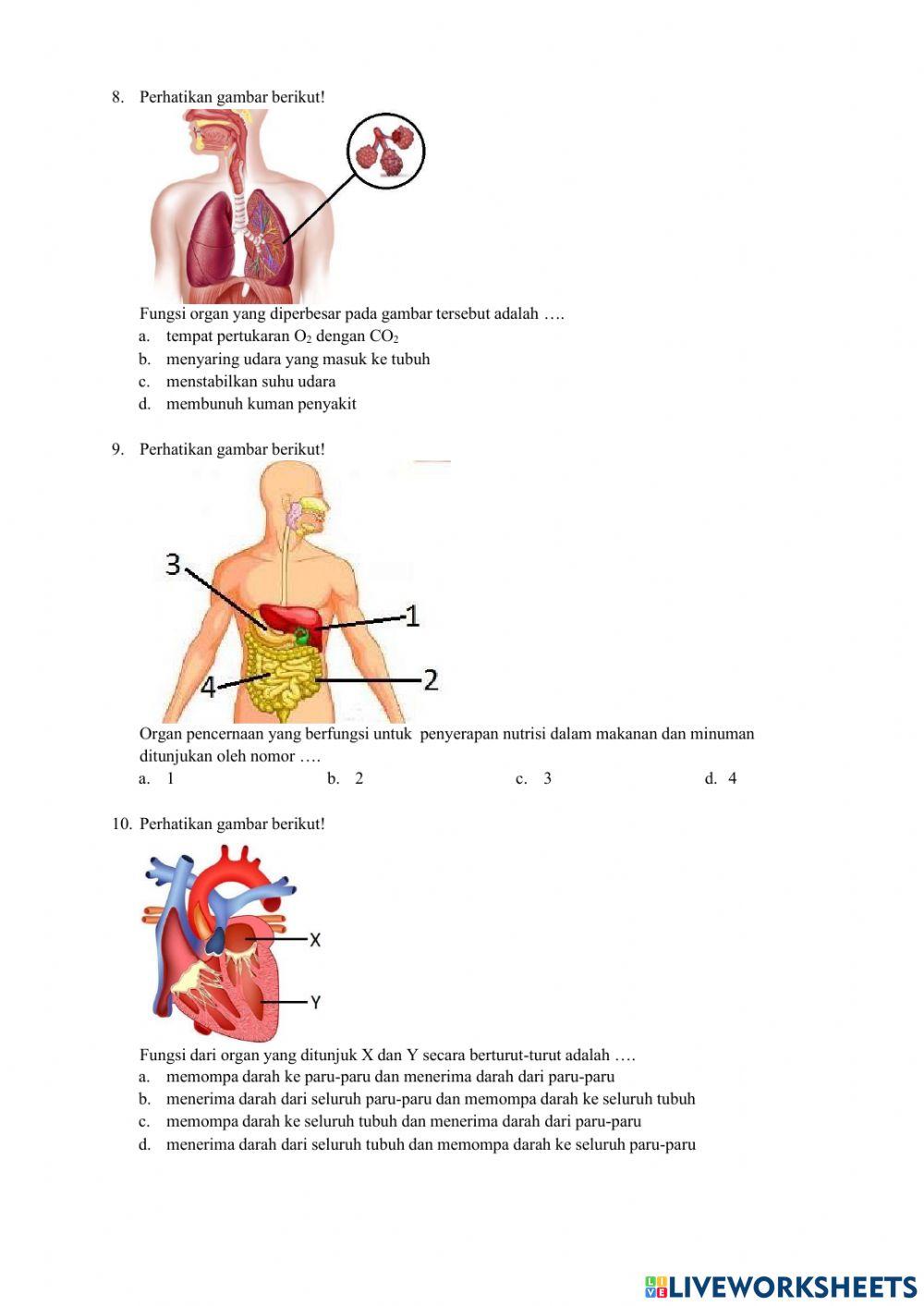 Latihan soal ipa - tryout