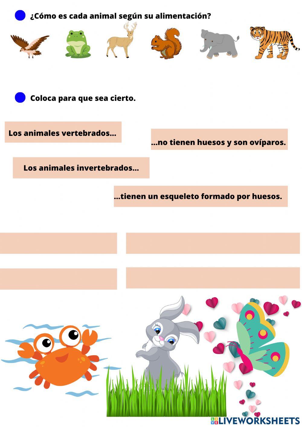 Repaso de animales