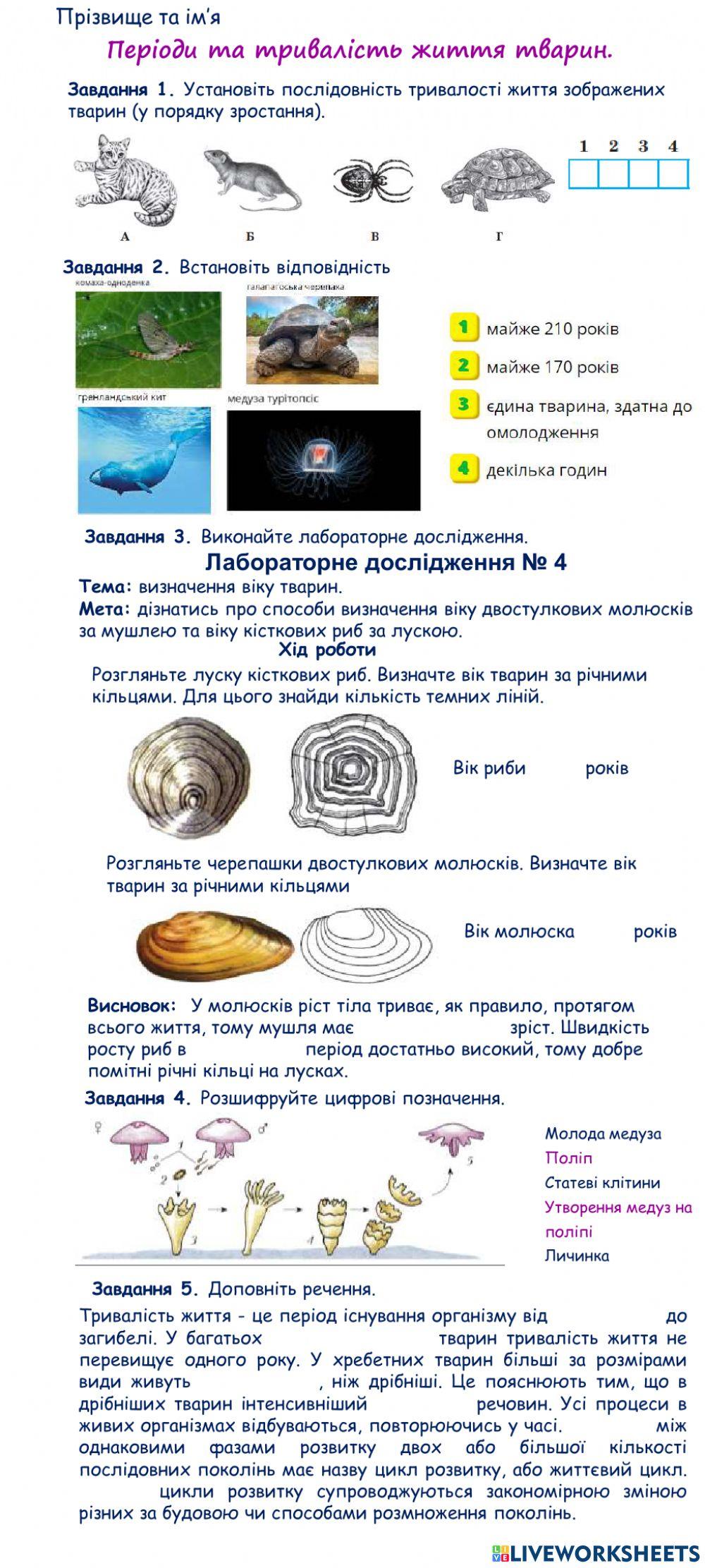 Тривалість життя тварин