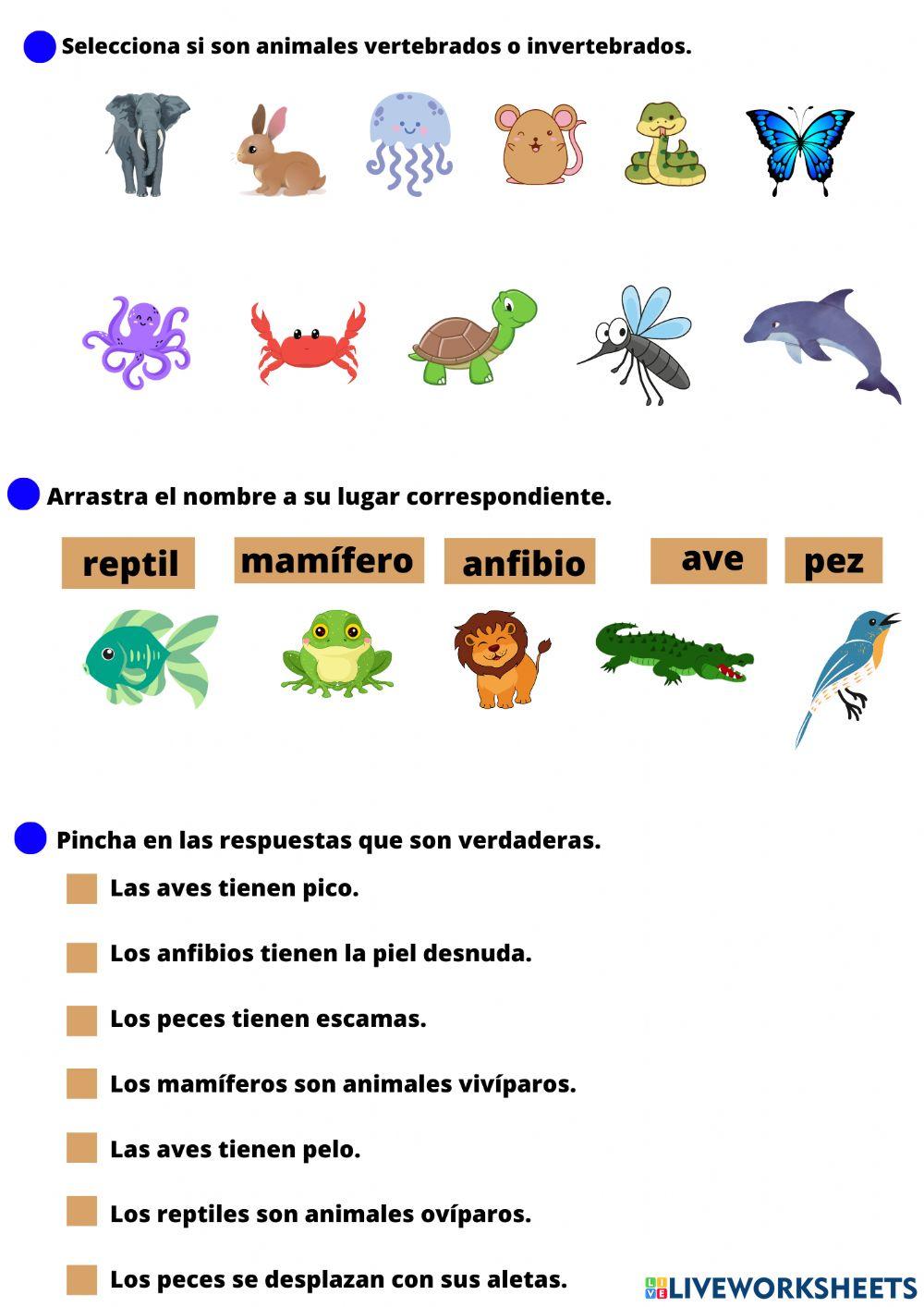 Repaso animales