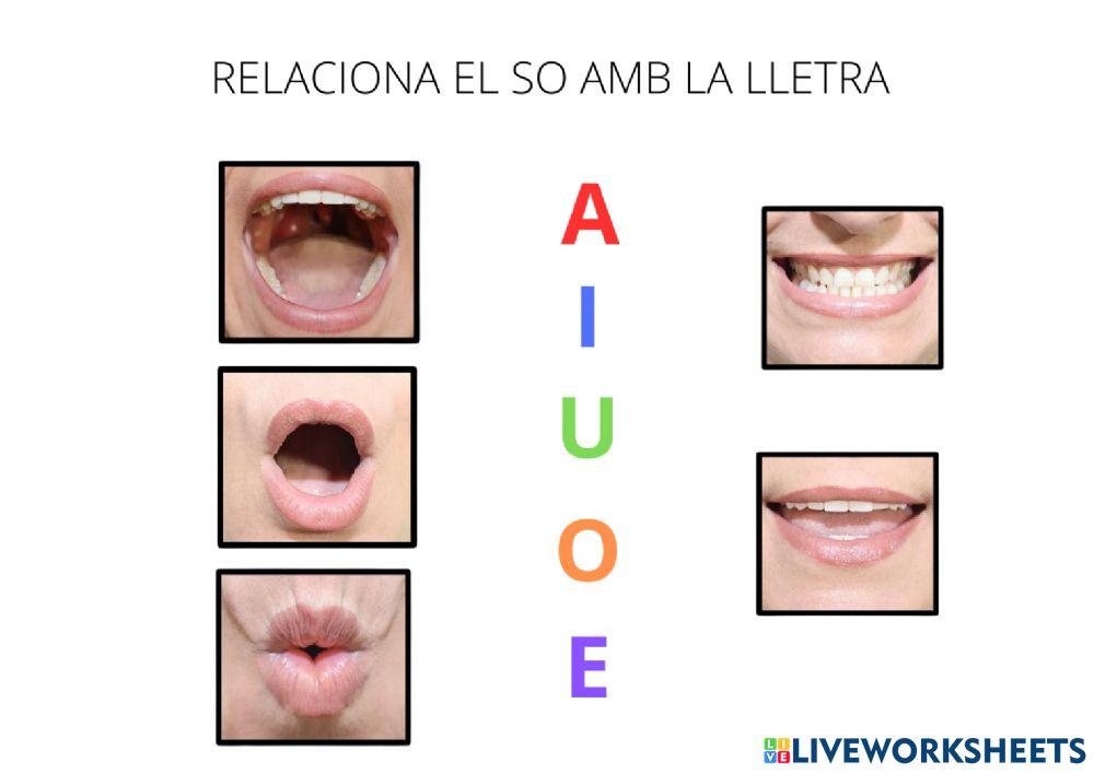 Relaciona posició vocal i grafia
