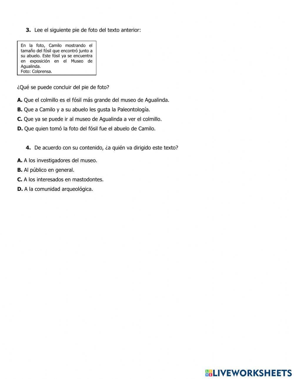 6° - Aplicación en contexto - Texto informativo