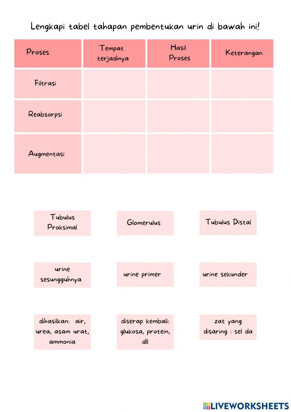 Lkpd proses pembentukan urine