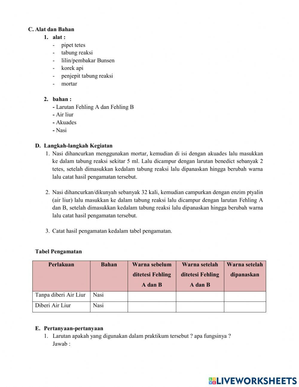 LKPD Sistem Pencernaan