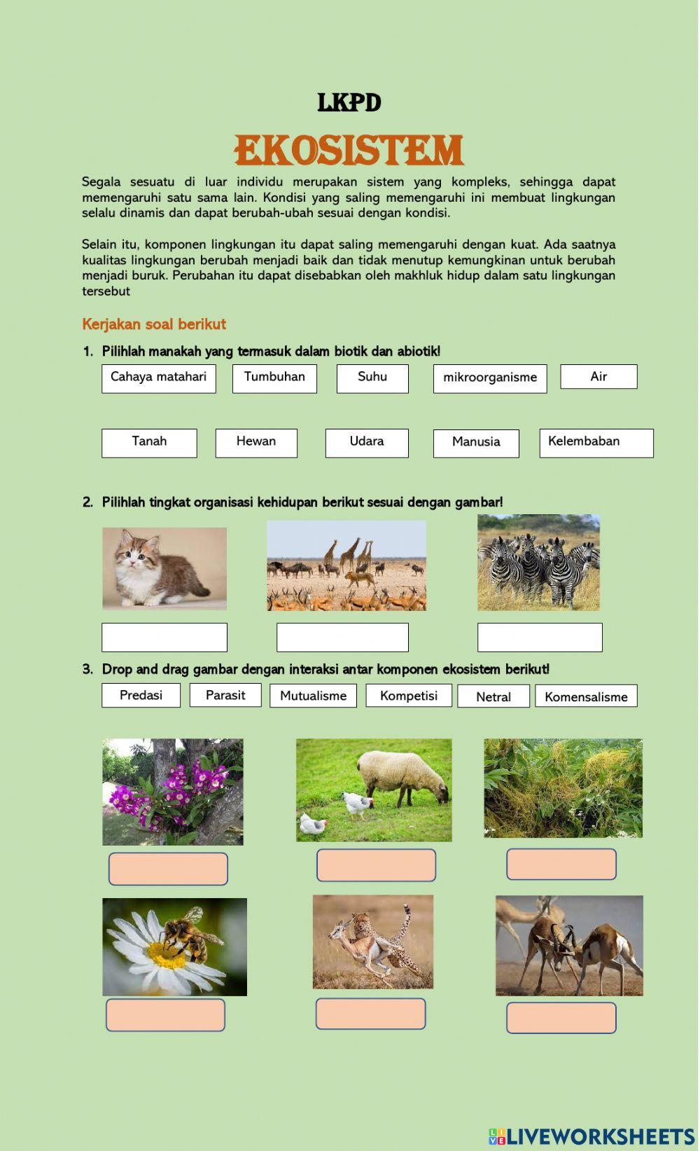 Interaksi dalam Ekosistem