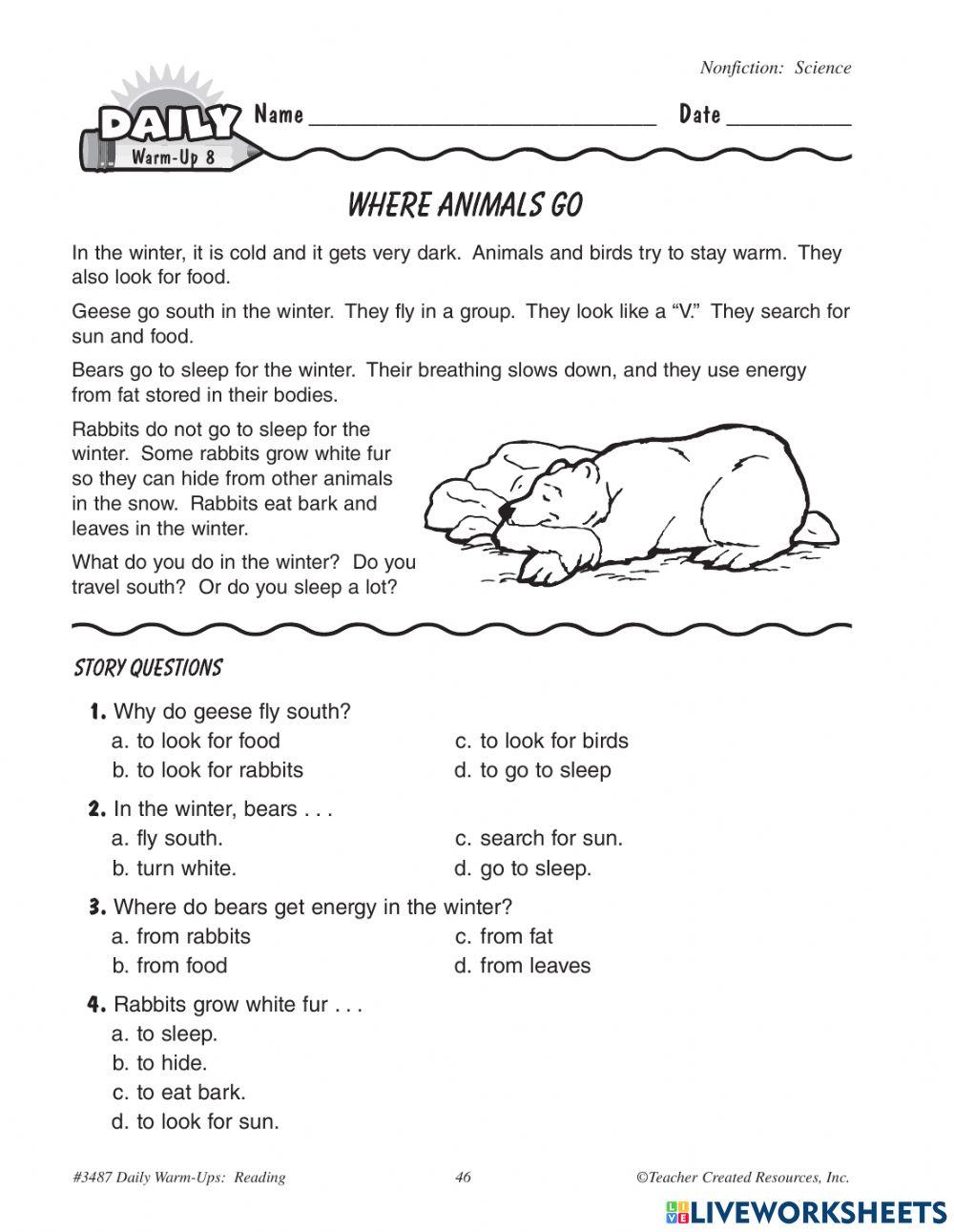 Where animals go and stars