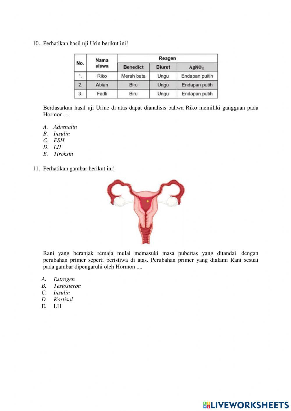 Asesmen Sumatif (Post test)