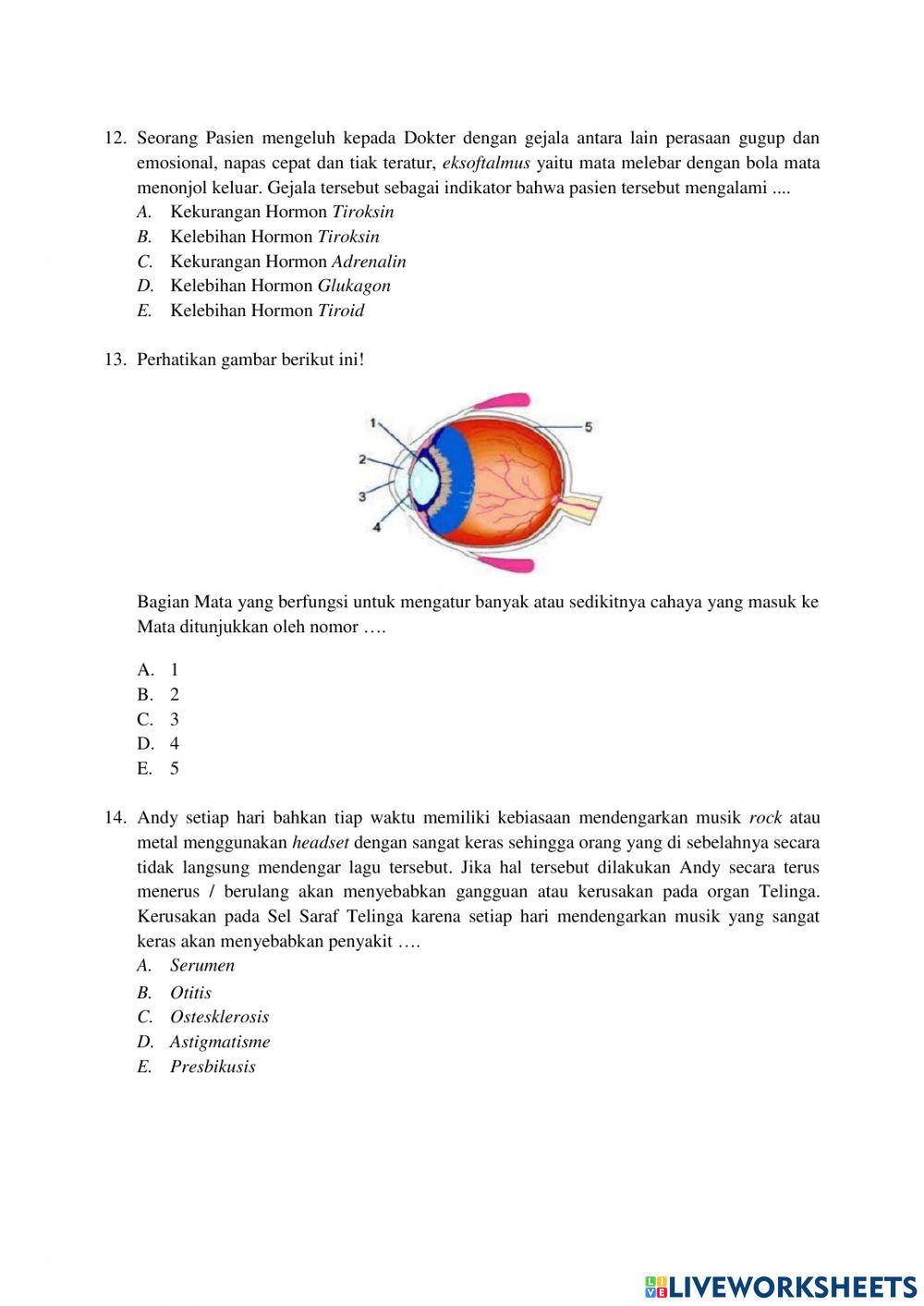 Asesmen Sumatif (Post test)