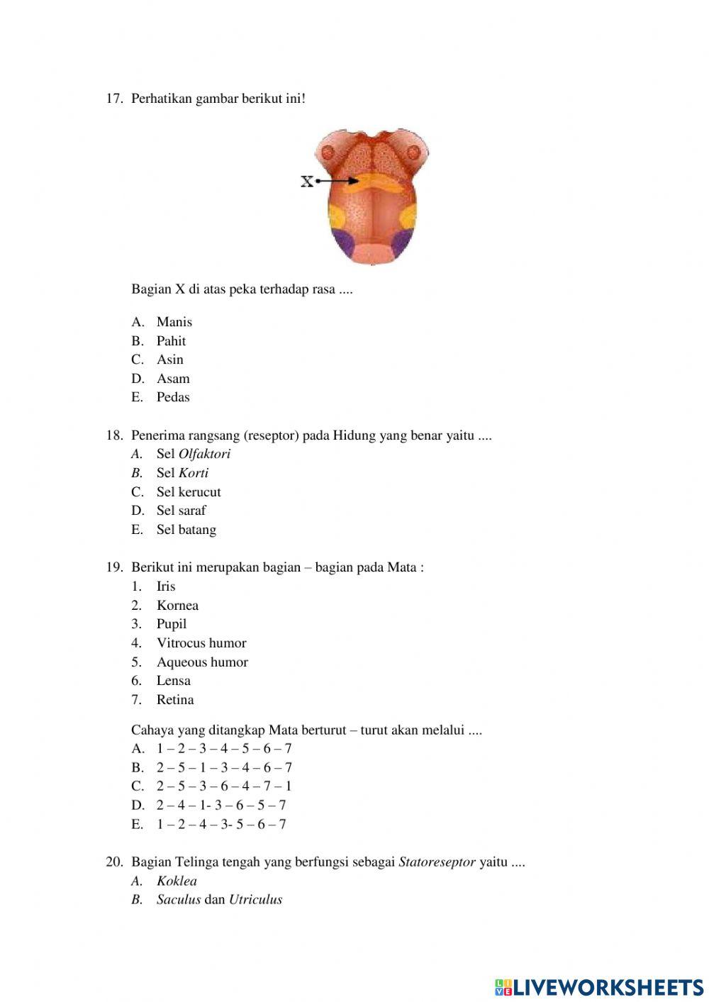 Asesmen Sumatif (Post test)