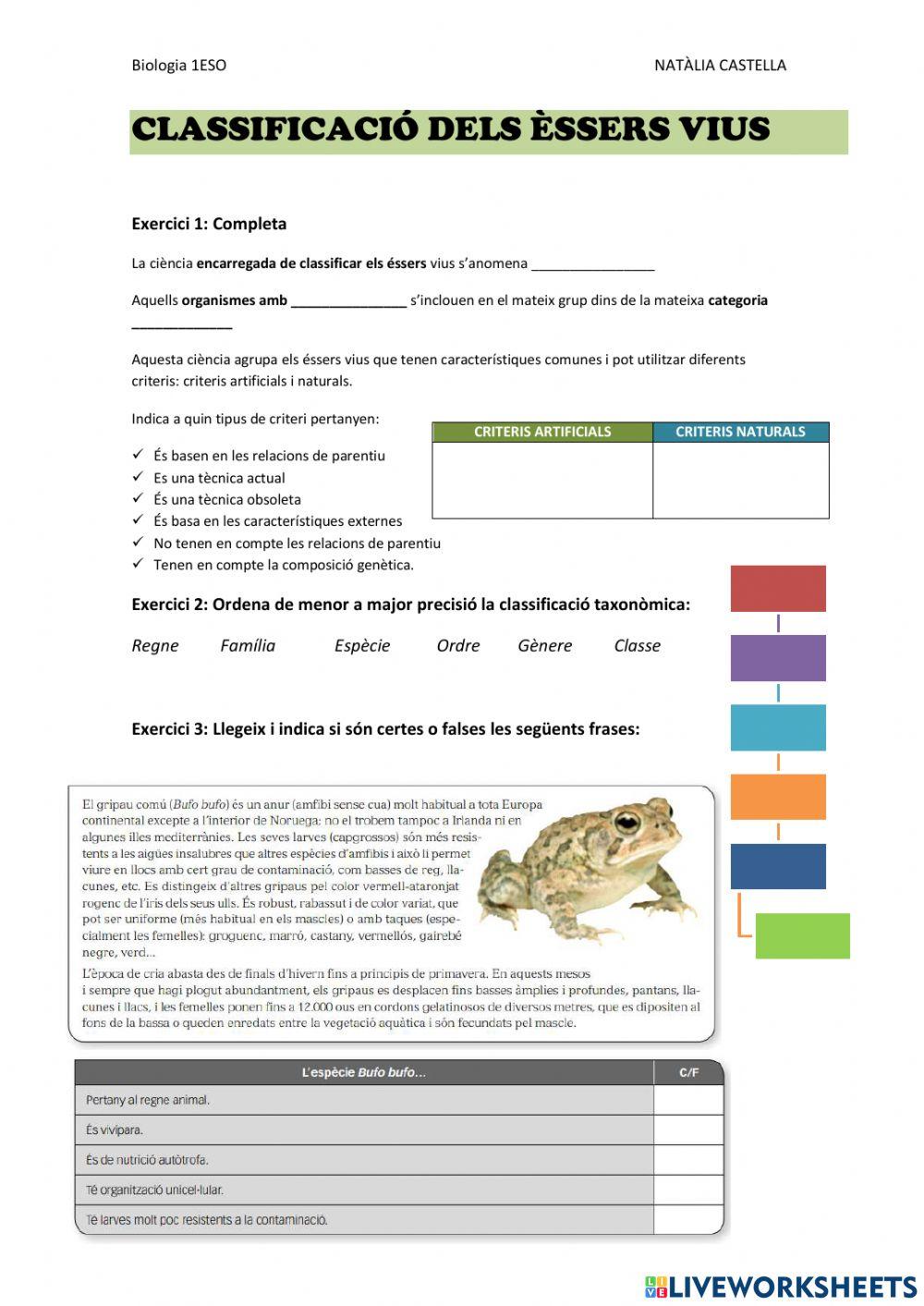 Classificaició essers vius i regnes