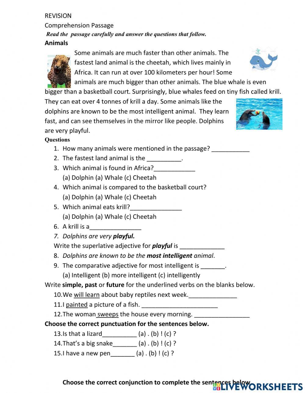 Year one ruby term 2 english language test