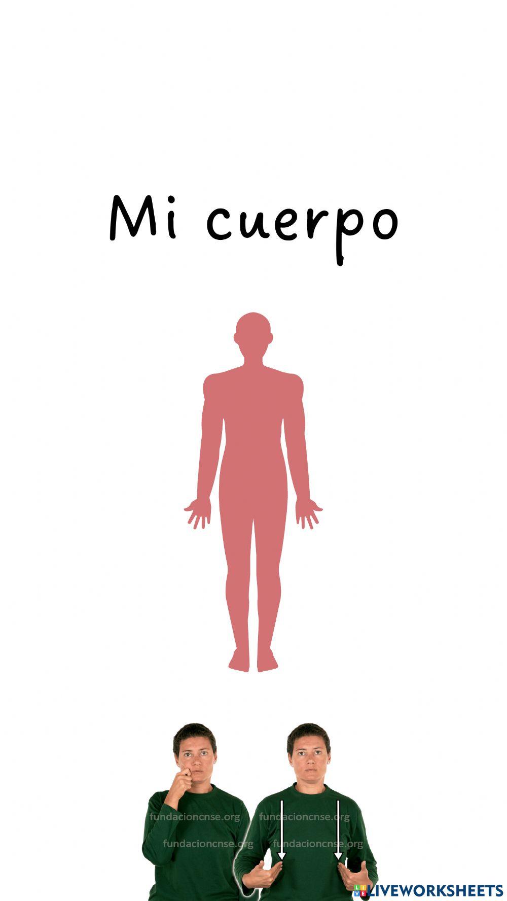 Mi cuerpo