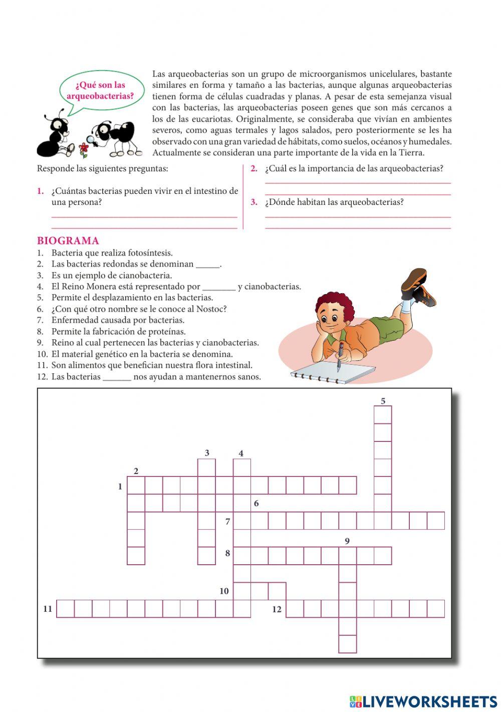 El reino de la bacteria