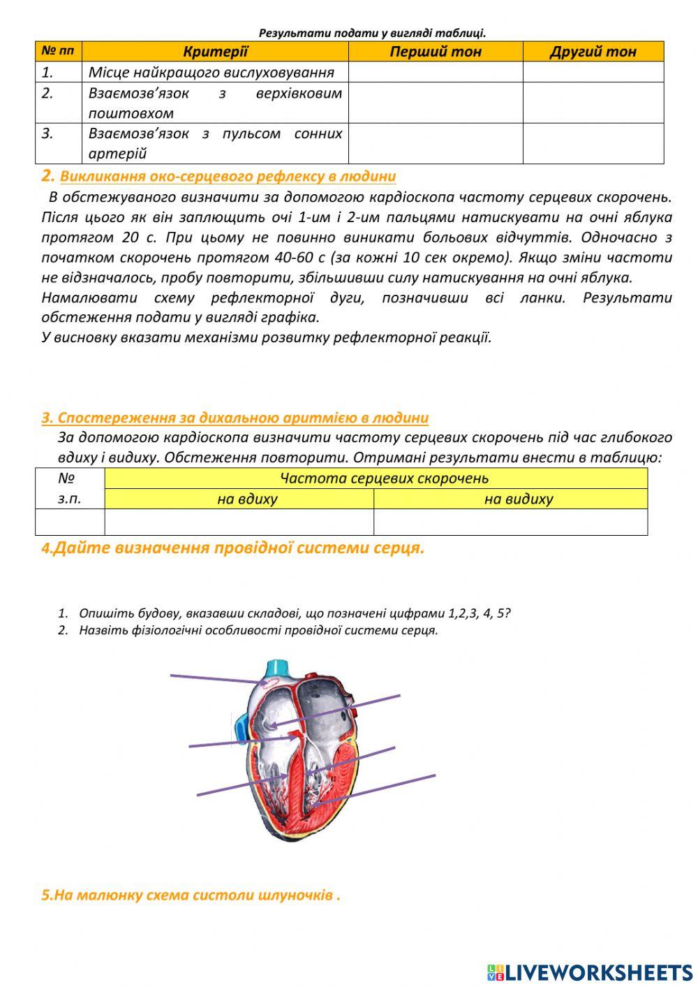 Фізіологія міокарда