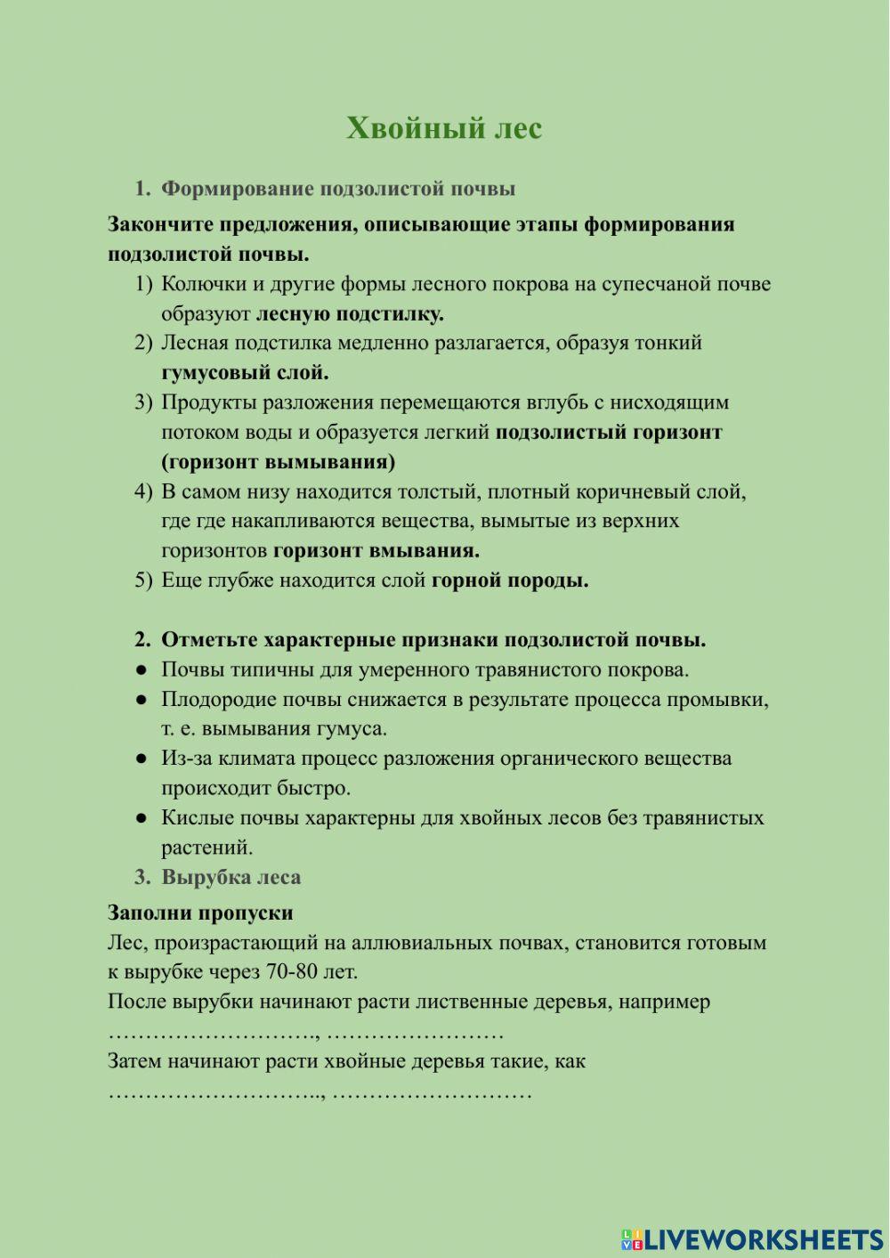 Хвойный лес умеренного пояса