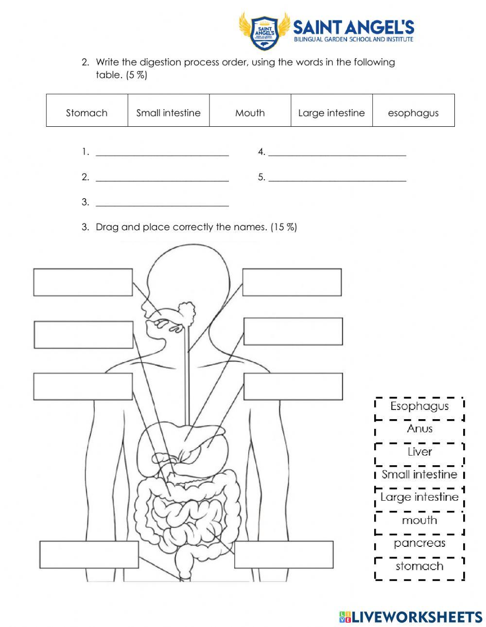 Science test Science test