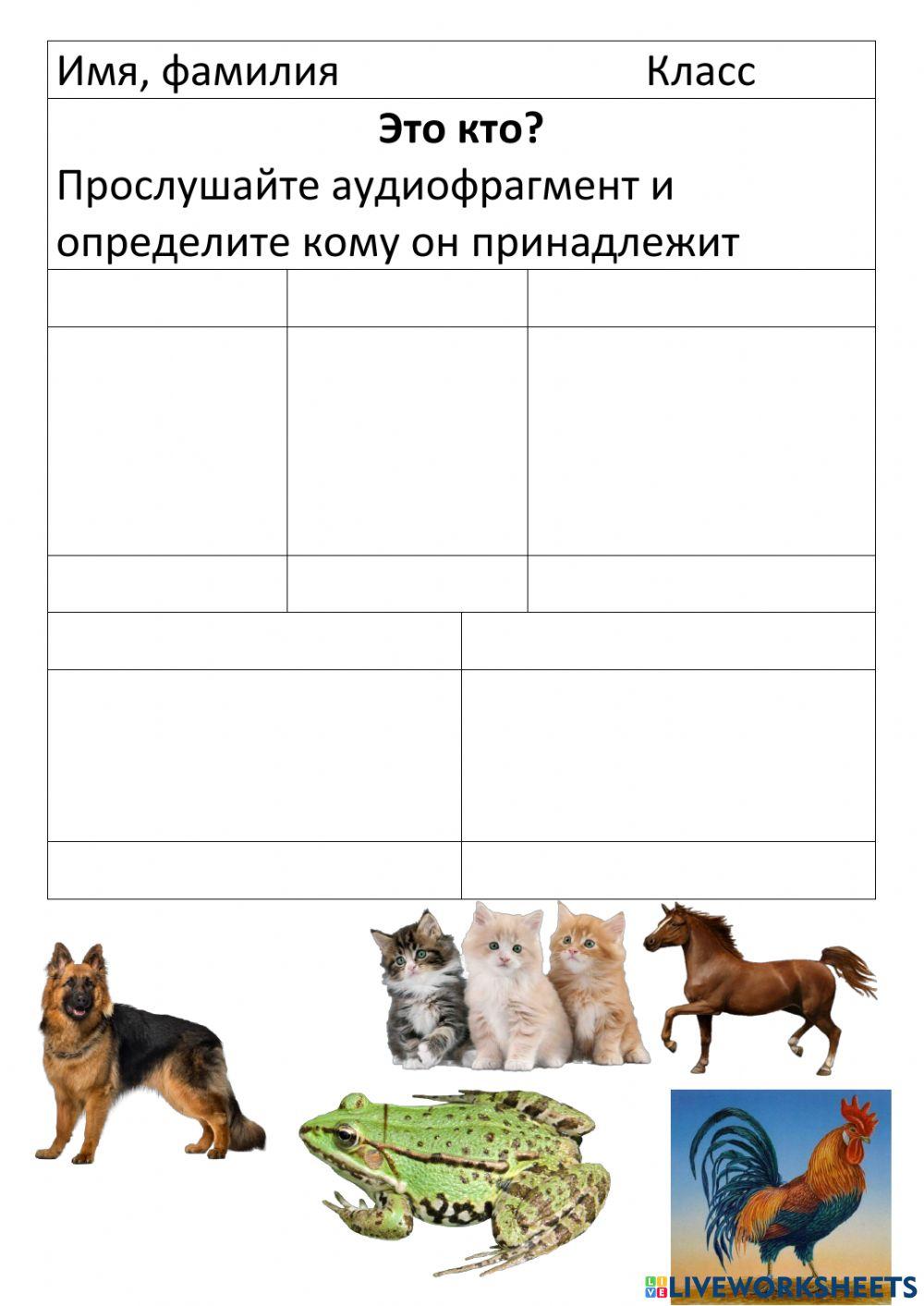 Проверочная работа Окружающий мир worksheet | Live Worksheets