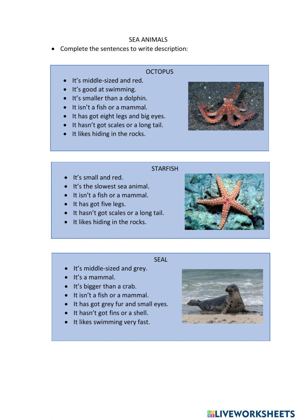 Describing Sea Animals Worksheet Live Worksheets describing-sea-animals-worksheet-live-worksheets