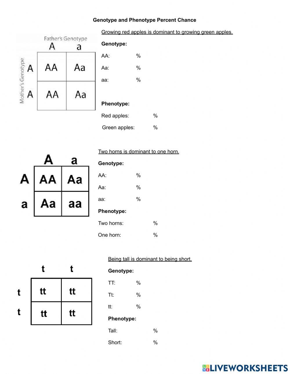 Genotype And Phenotype Worksheet