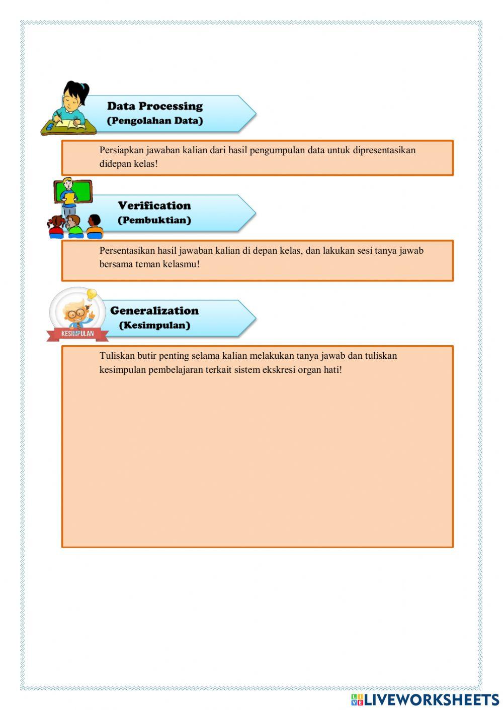 Sistem ekskresi (hati)