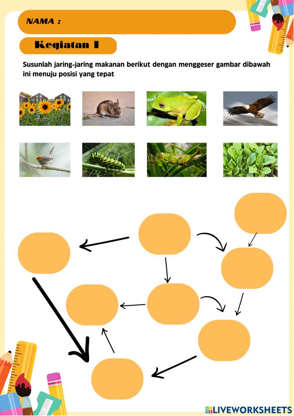 Lkpd jaring dan rantai makanan