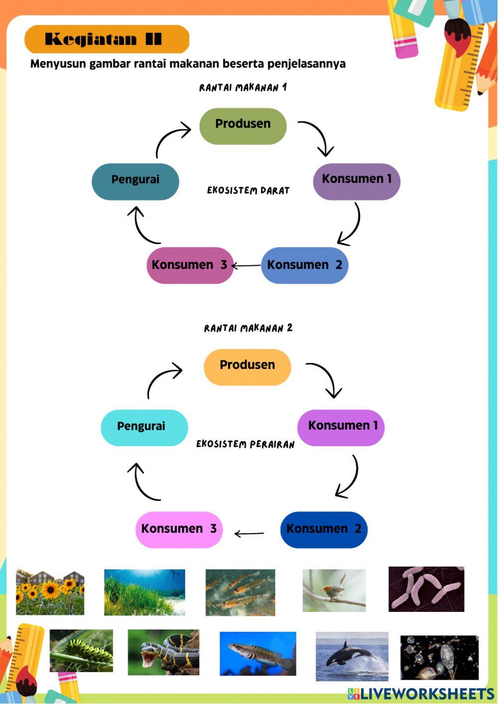 Lkpd jaring dan rantai makanan
