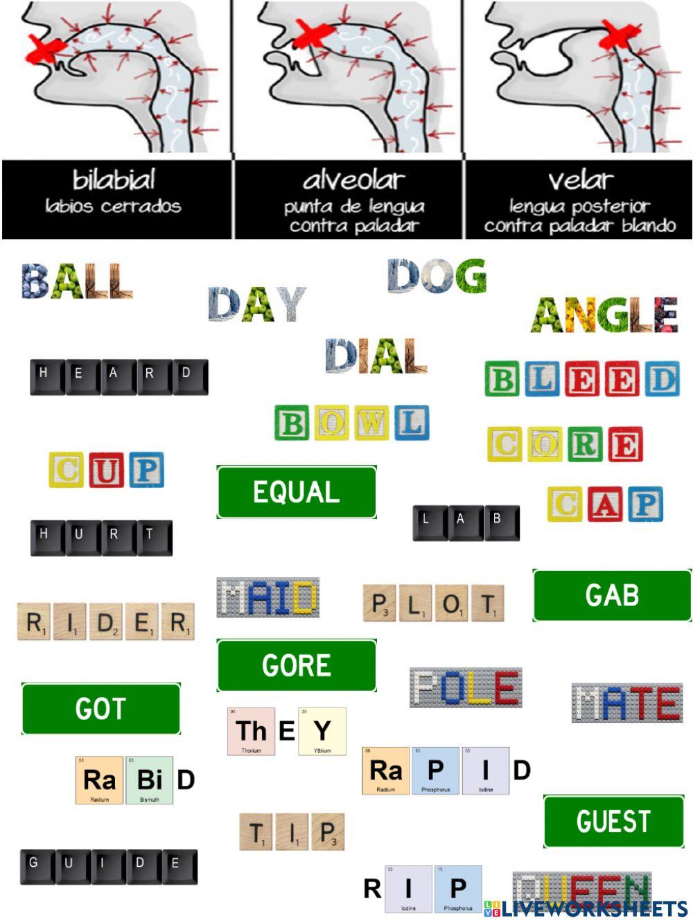 Consonantes Oclusivas