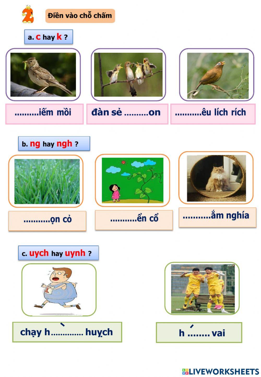 Kiểm tra học kì I