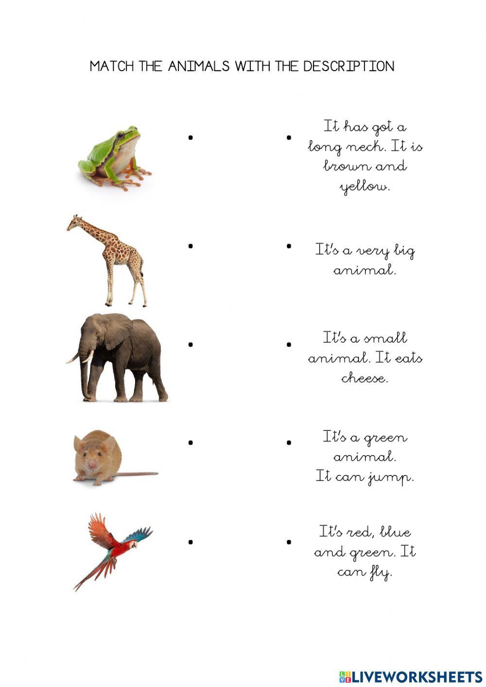 Animals descriptions