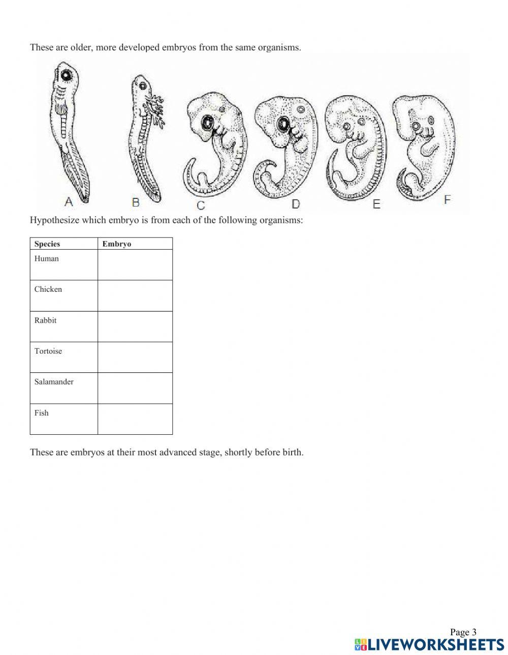 Evidence of Evolution