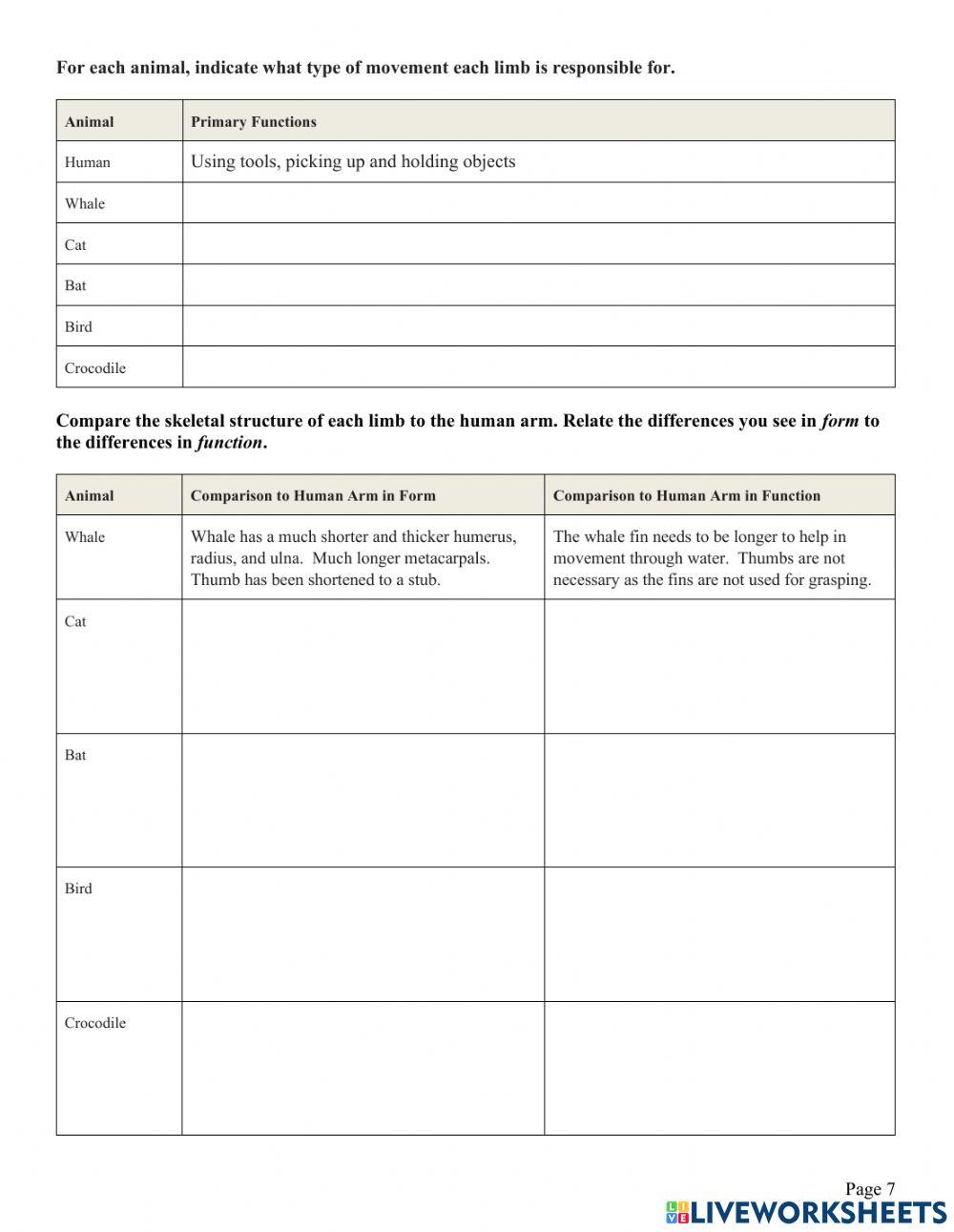 Evidence of Evolution