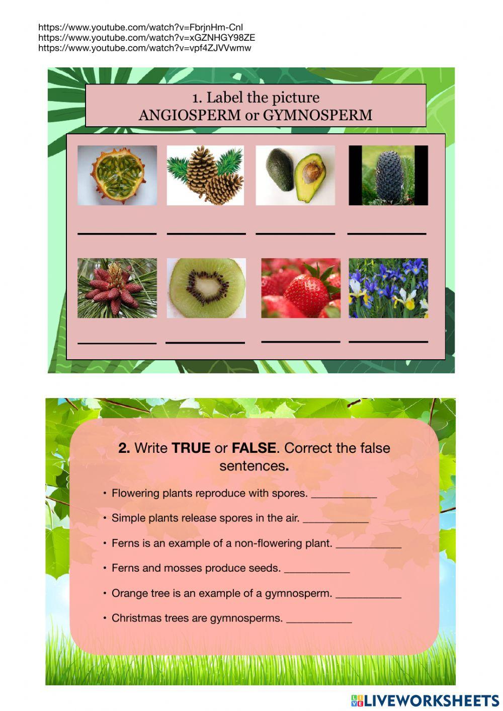 Plant clissification