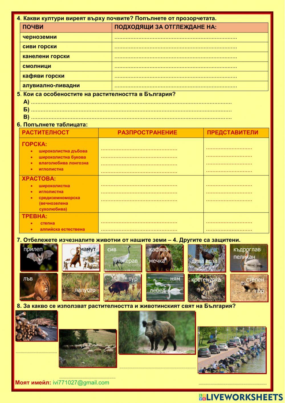 Почви, растителност и животински свят в България worksheet | Live ...