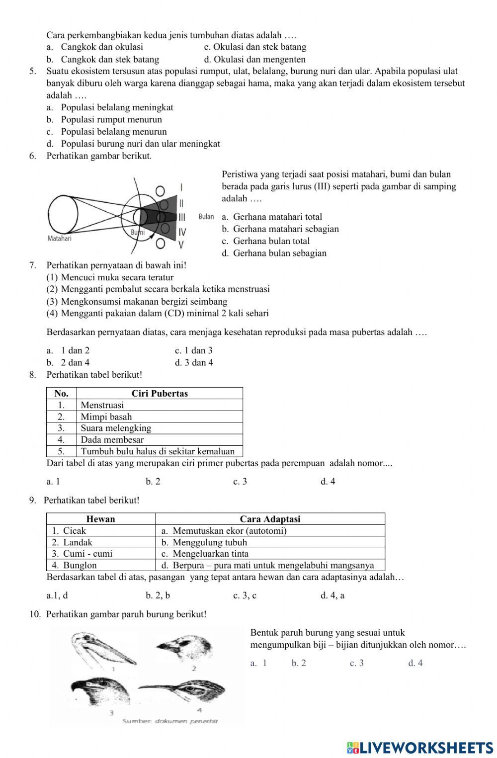 Simulasi sumatif ipa