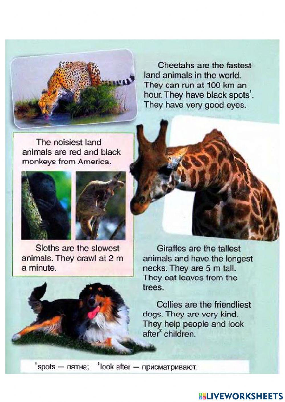 The Biggest and the Best