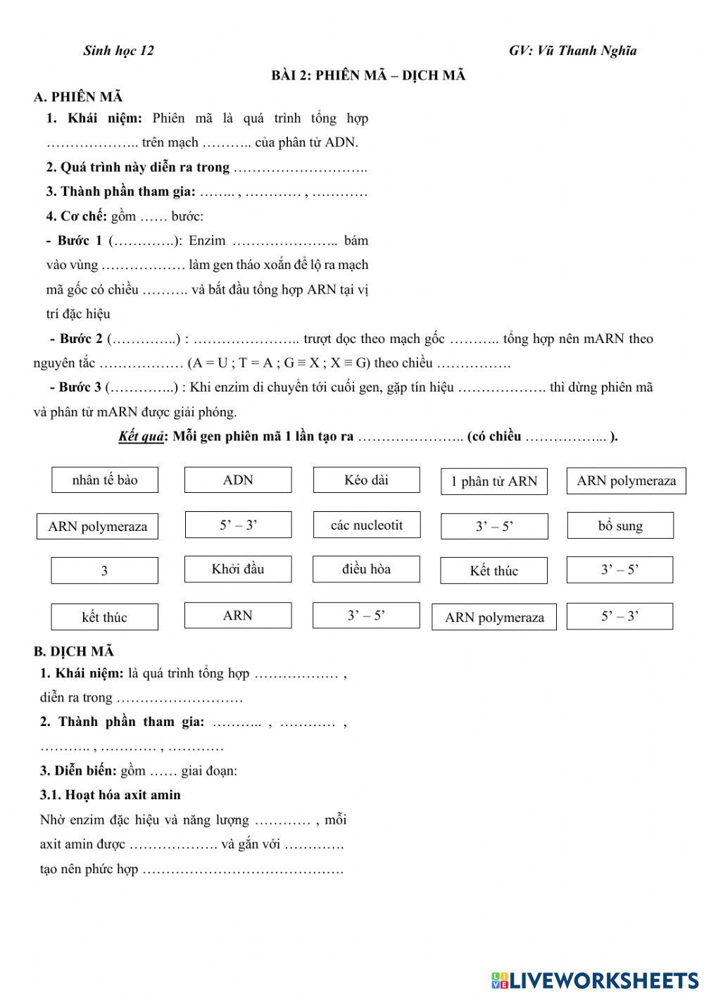 Phiên mã - Dịch mã