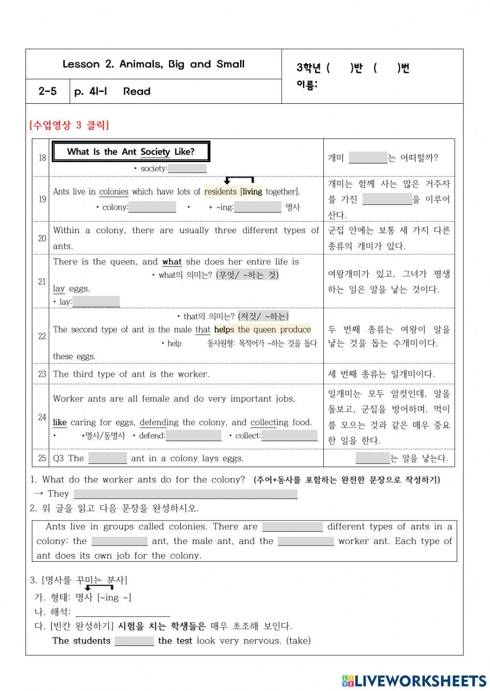 3학년 2과 41쪽 Ants Society