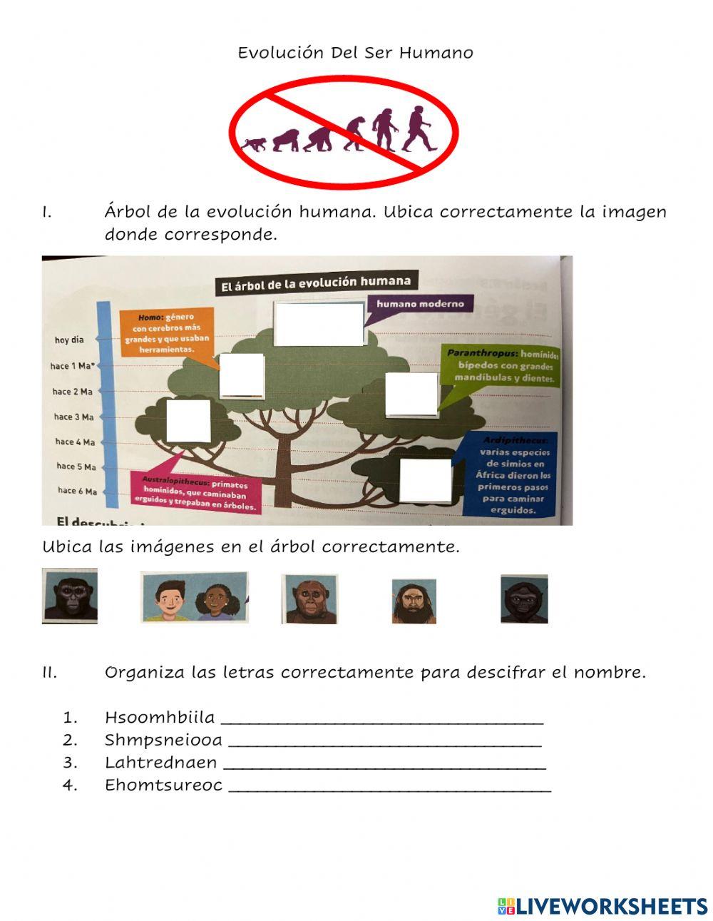 Evolución del ser humano