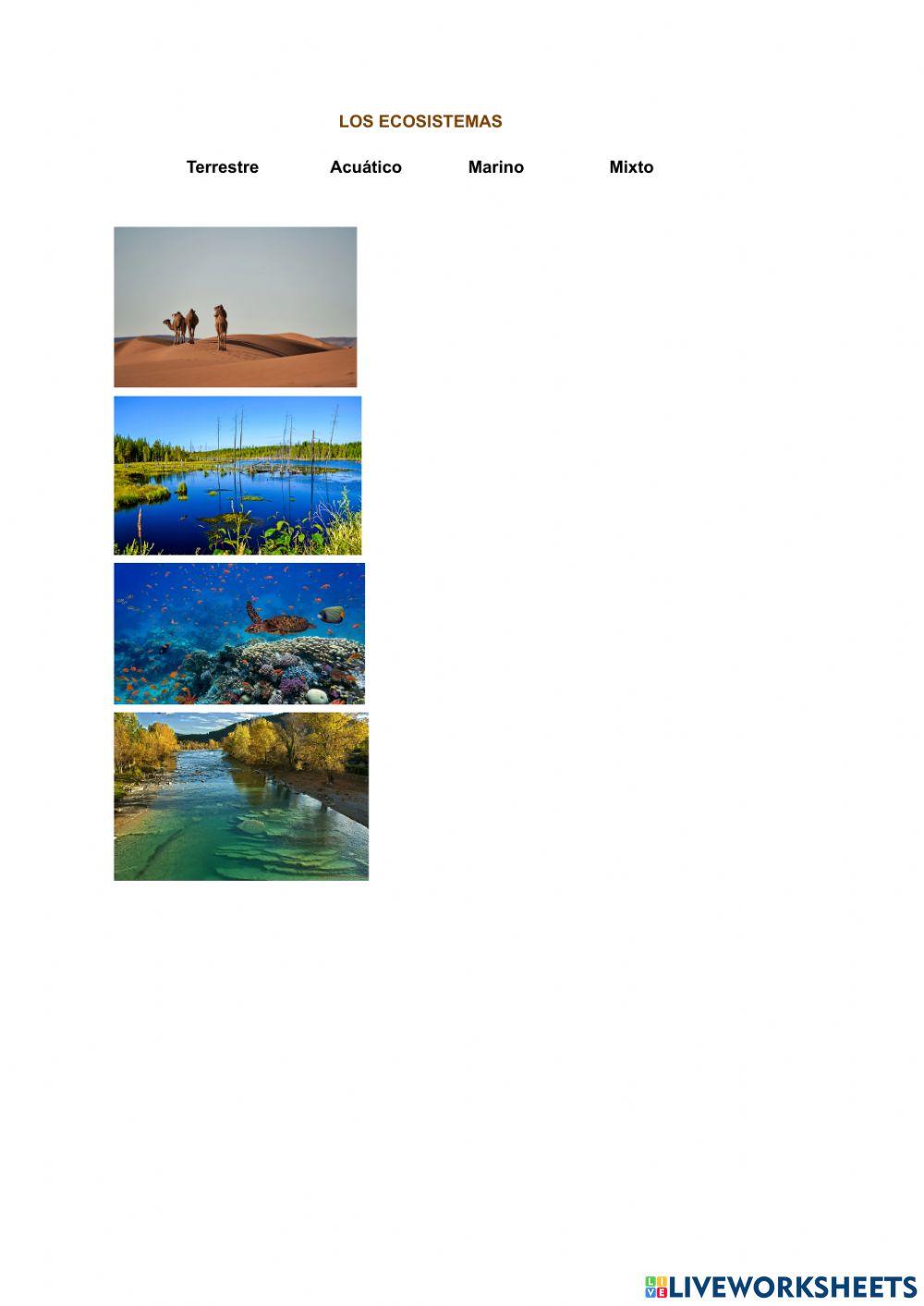 Los Ecosistemas