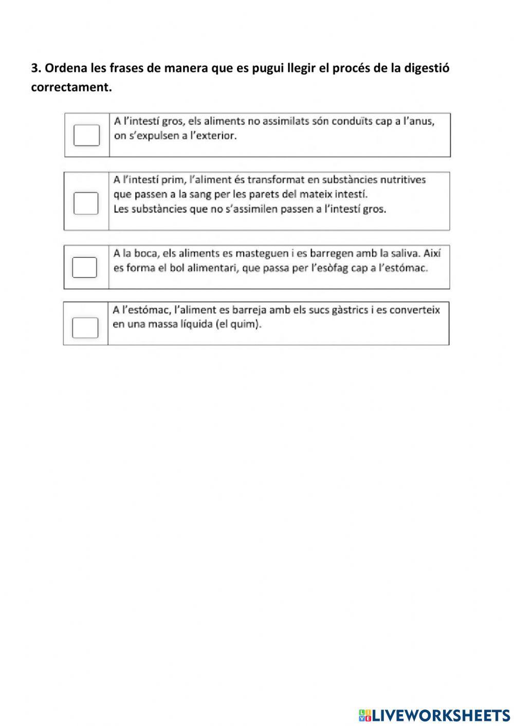 Aparell digestiu i procés de digestió