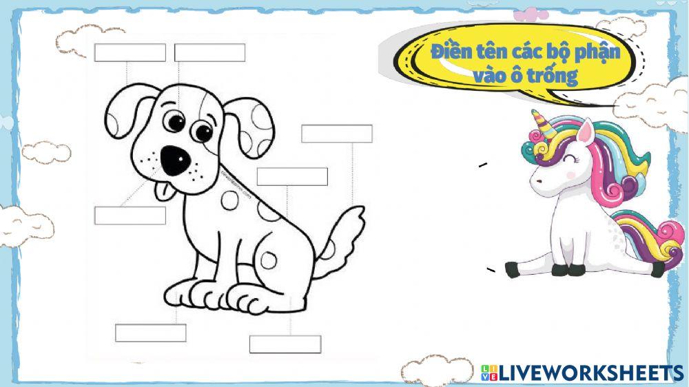 Vui học cùng Cony kì 19