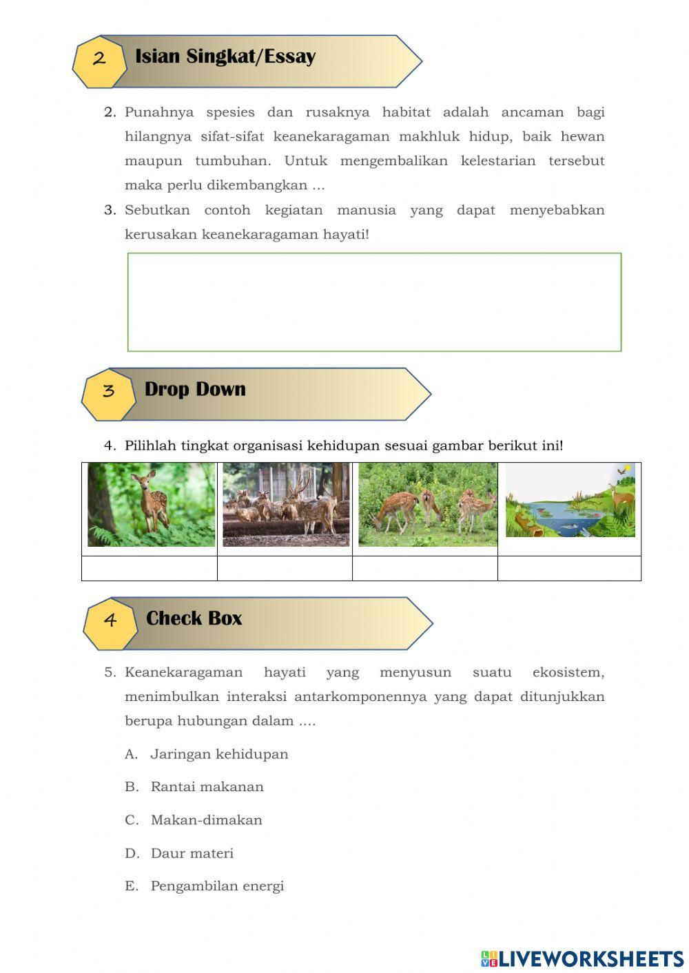 Latihan Membuat LKPD Keanekaragaman Hayati