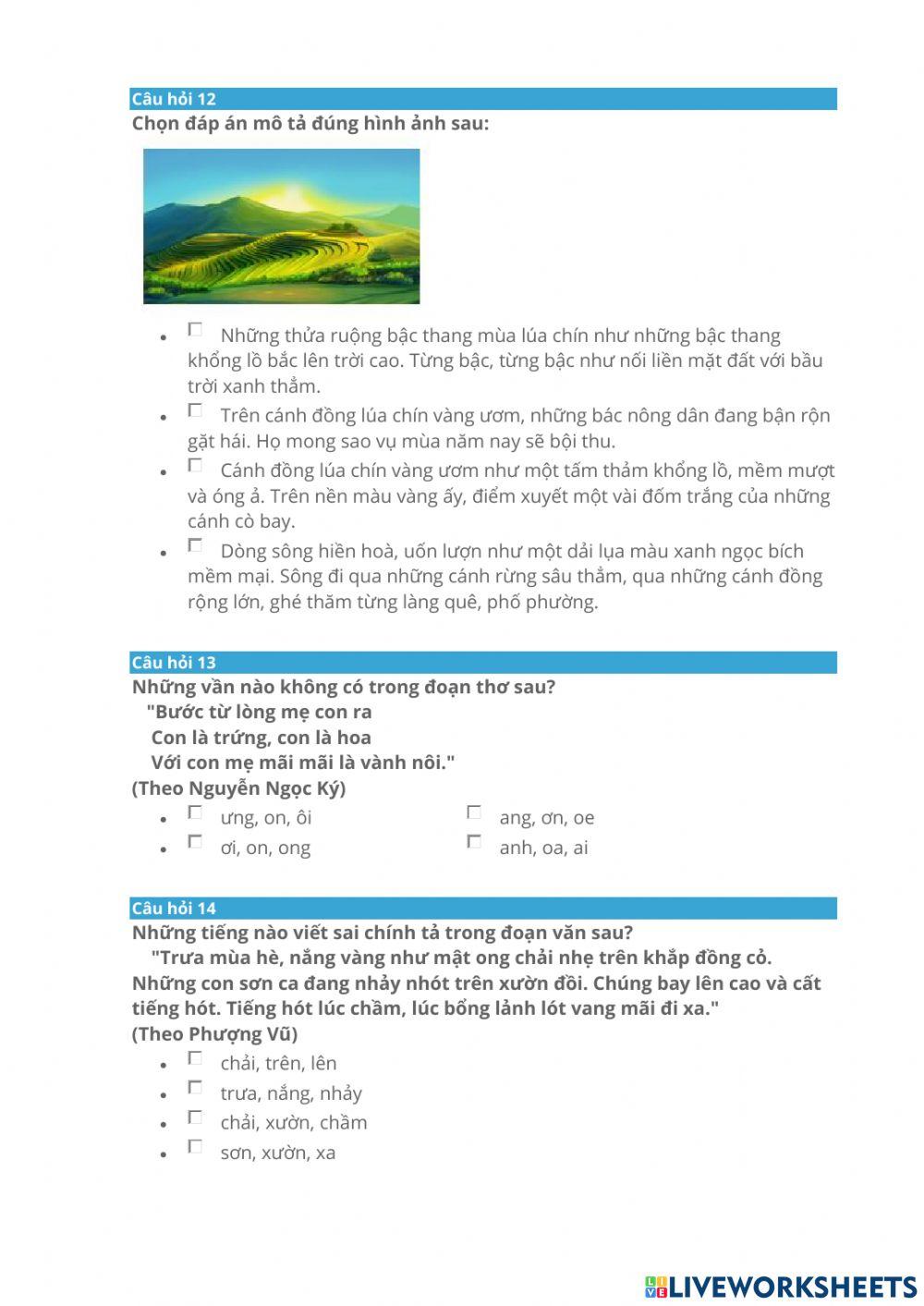 4 vong ự kiên cấp tỉnh