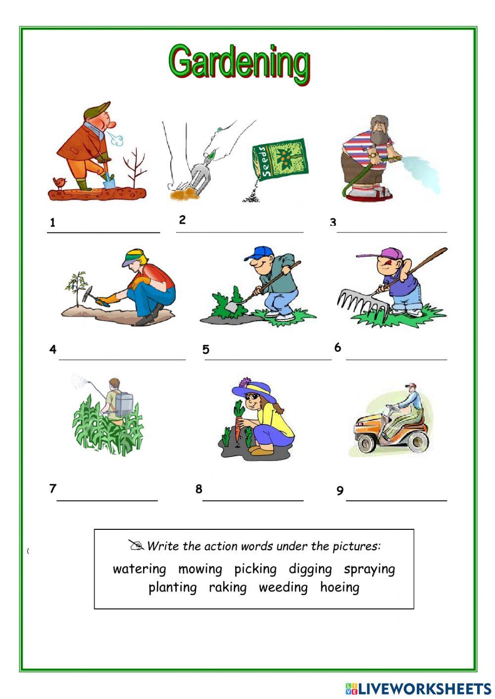 Gardening Fun Verbs