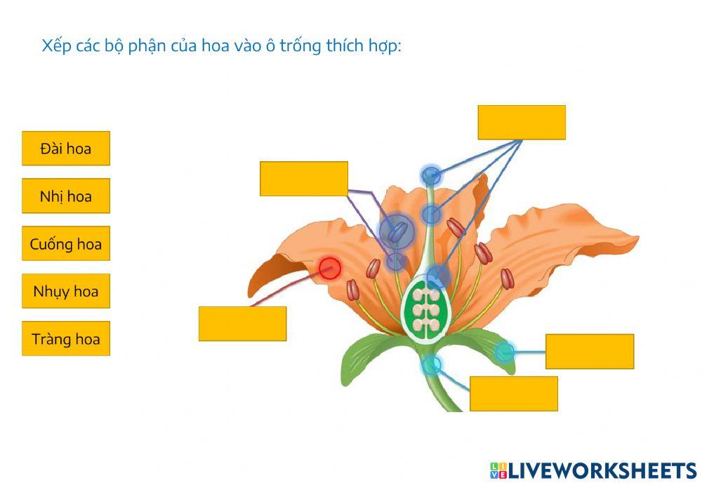 Khoa học tuần 24