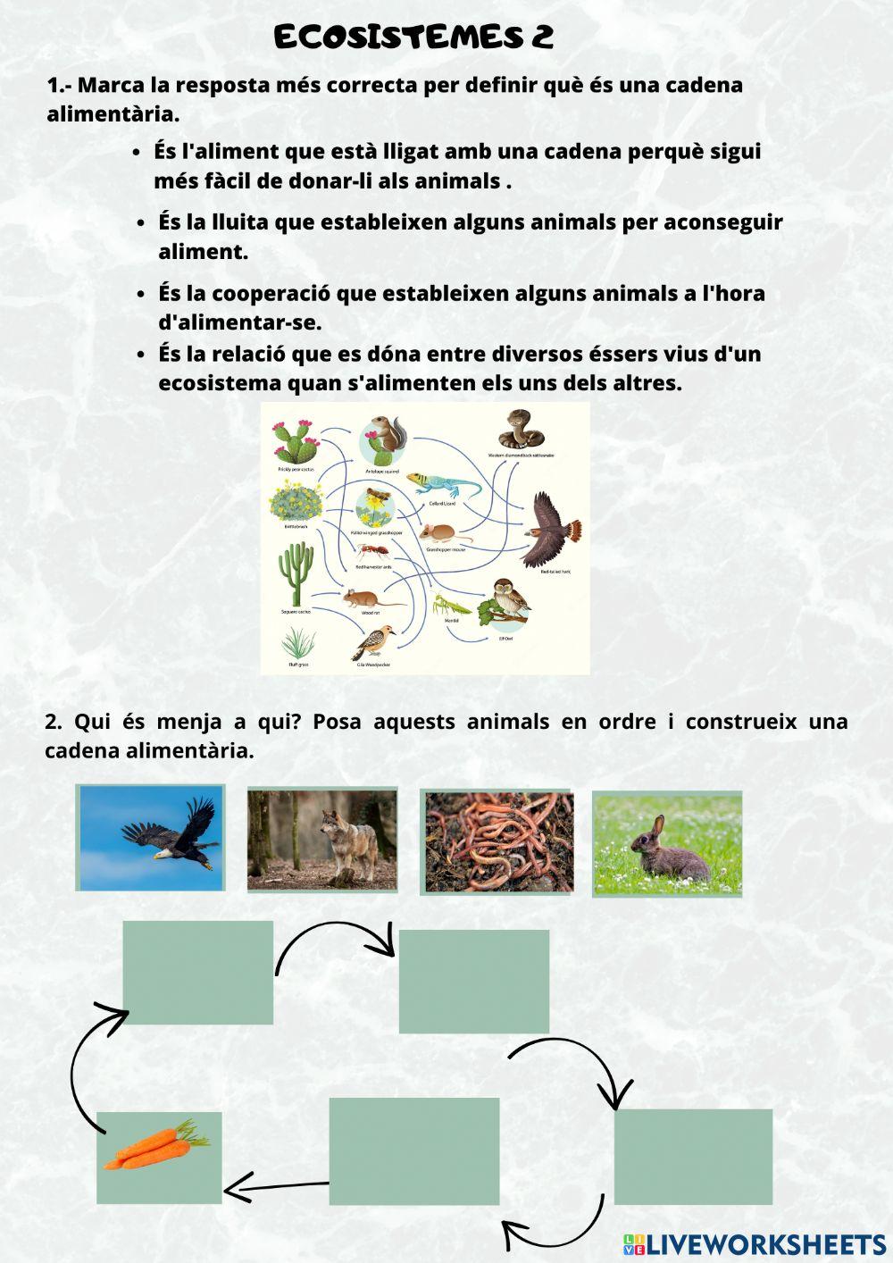 ECOSISTEMES