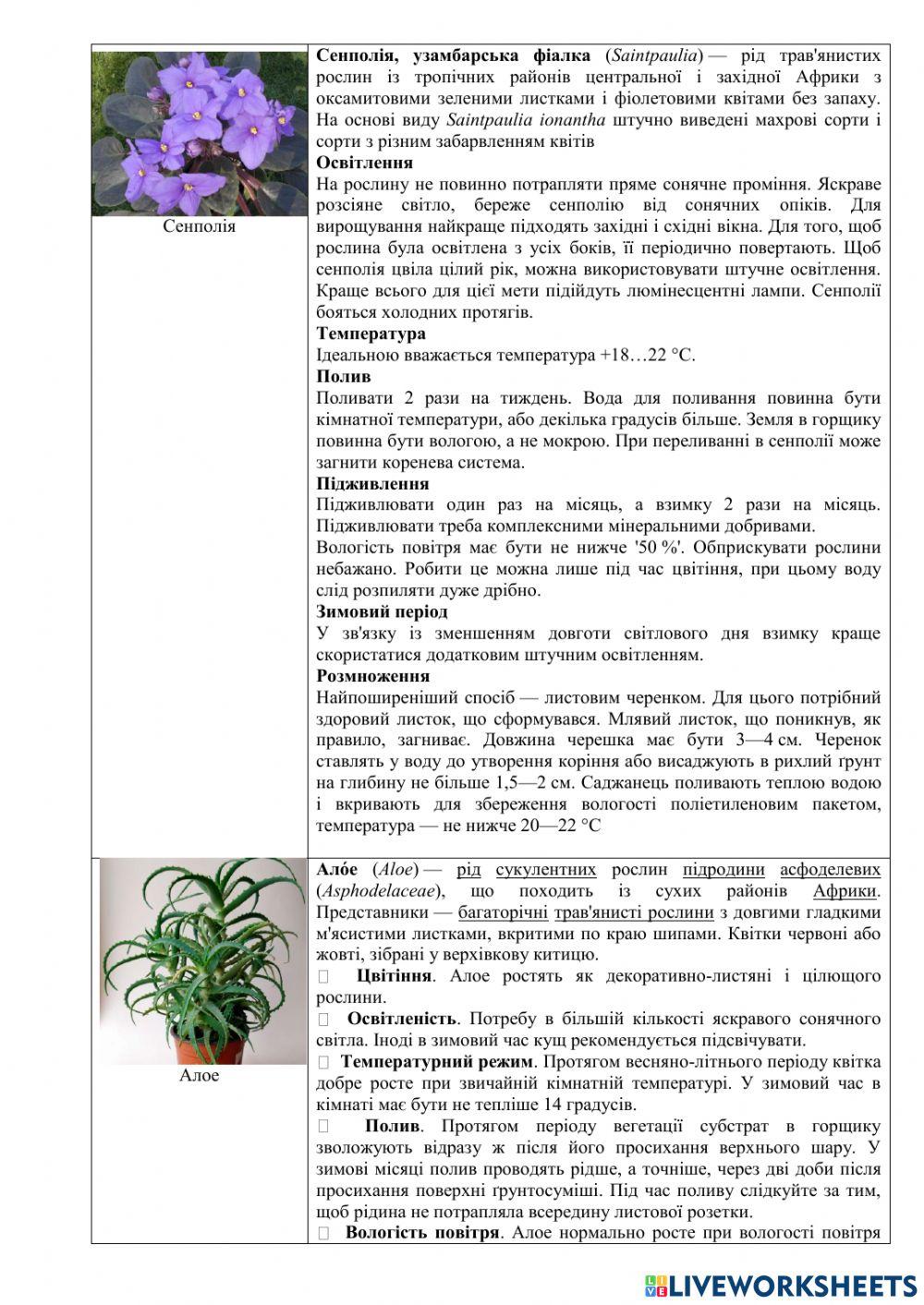 Практична робота 4ВИЗНАЧЕННЯ ВИДІВ КІМНАТНИХ РОСЛИН,  ПРИДАТНИХ ДЛЯ ВИРОЩУВАННЯ В ПЕВНИХ УМОВАХ
