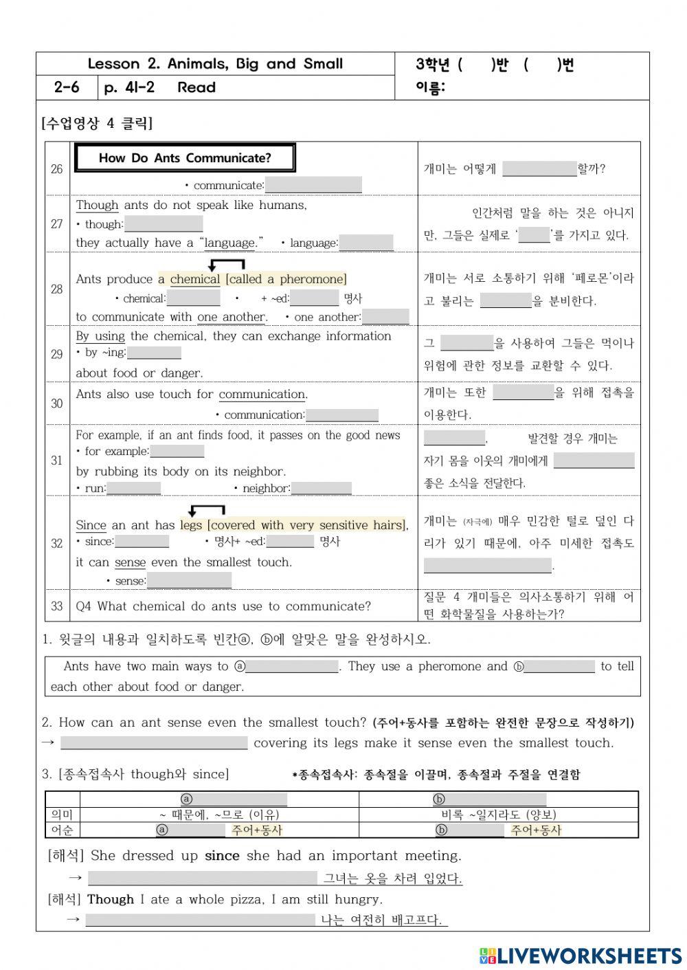 3학년 2과 41쪽 Ants Communication