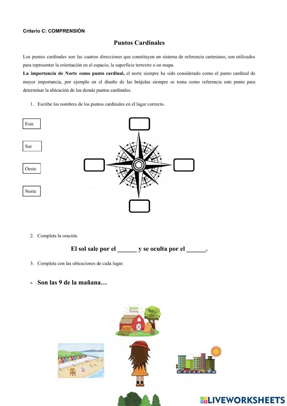 Cuestionario social studies