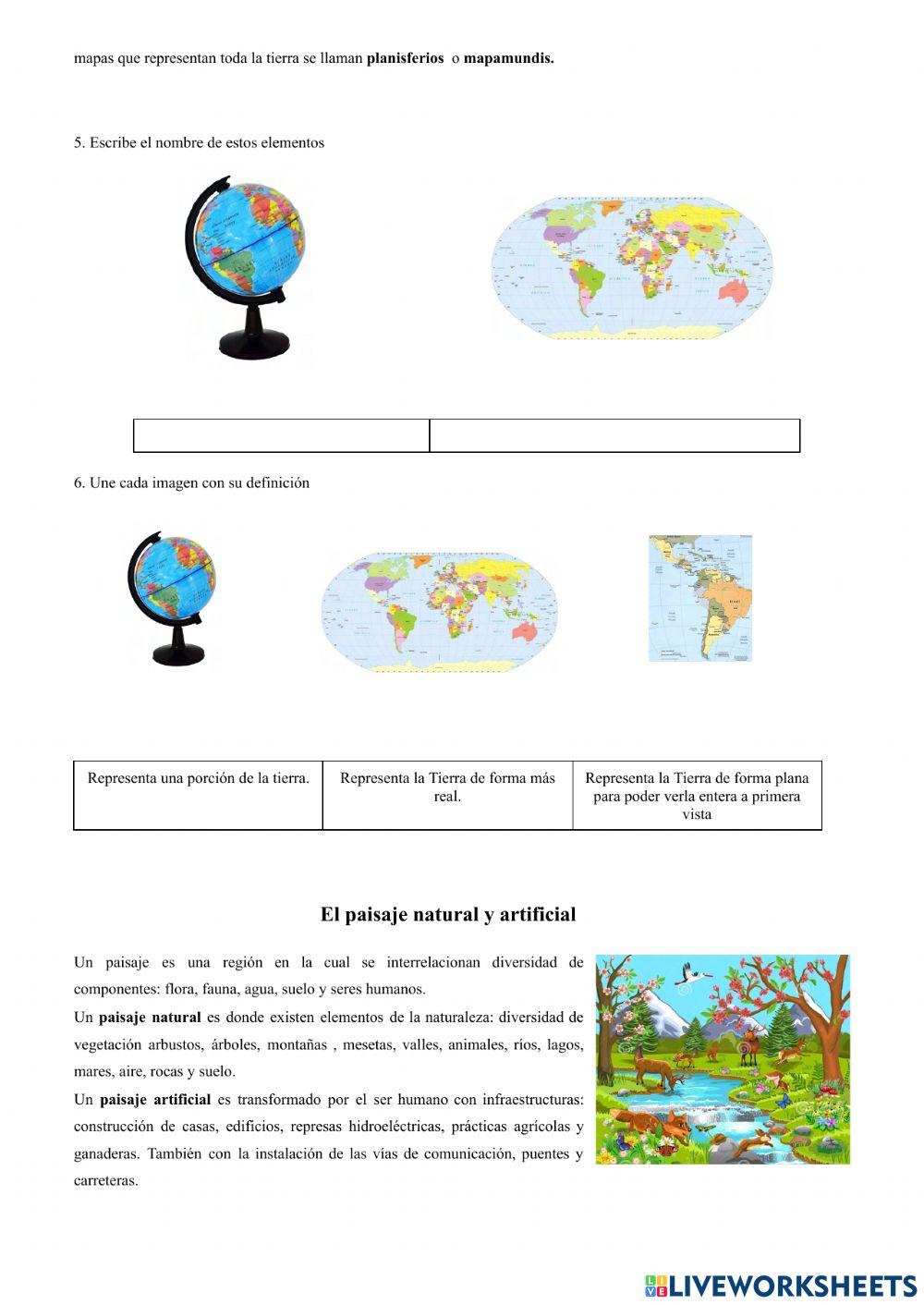 Cuestionario social studies